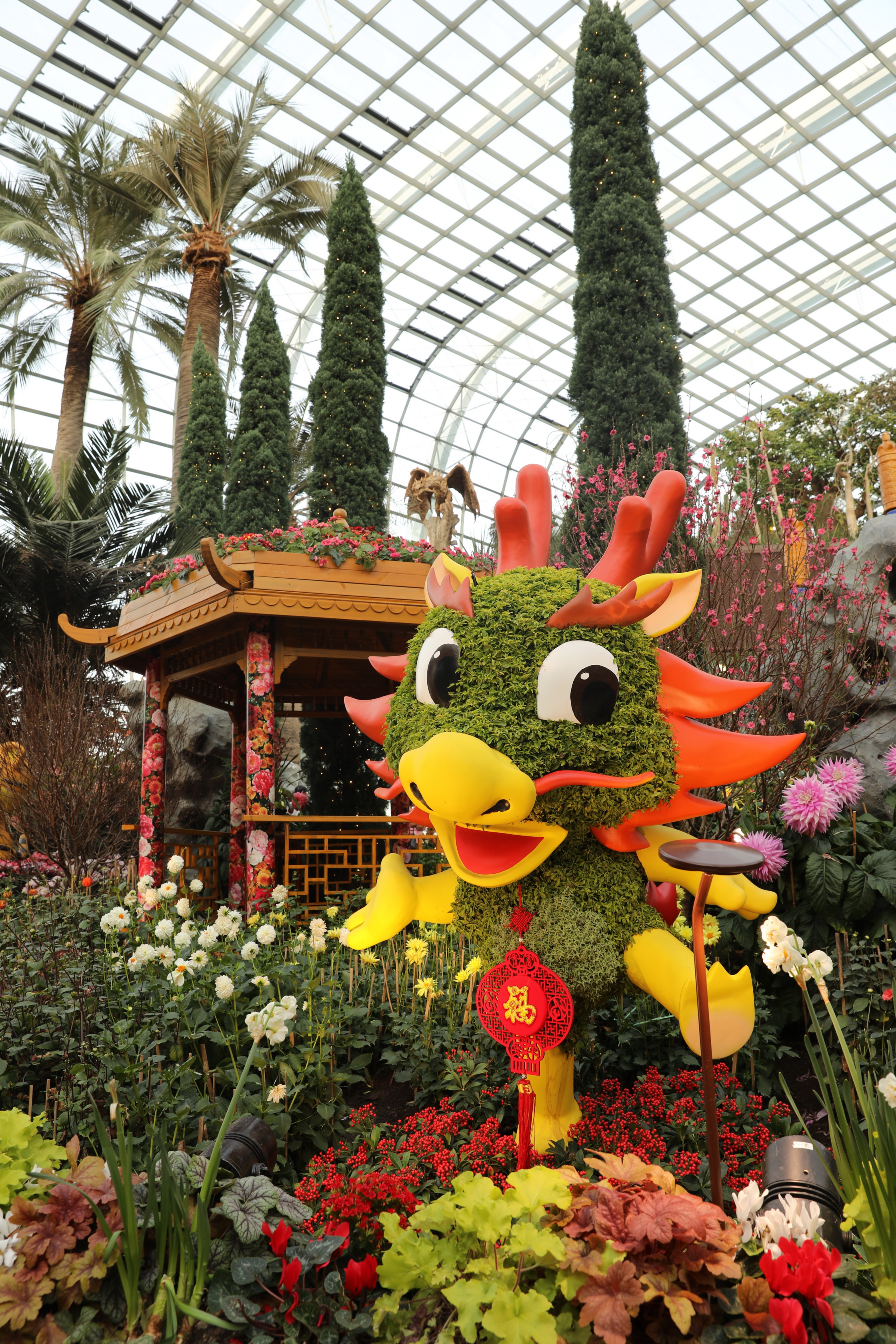 2020 02 03 18 45 53 Canon EOS 5D Mark IV 0062